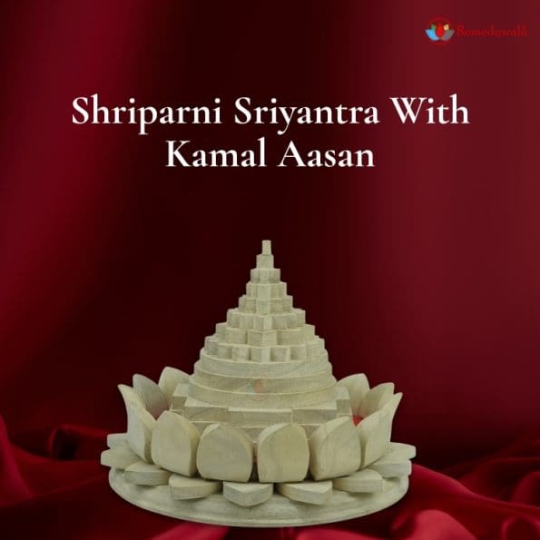 Shriparni Sriyantra With Kamal Aasan - Image 2