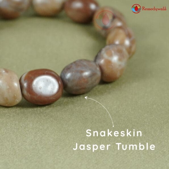 Snakeskin Jasper Tumble Bracelet - Image 3