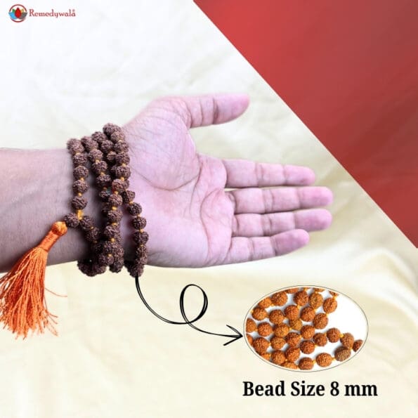Rudraksha Mala Rudraksha Necklace 5 mukhi - Image 4