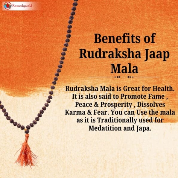Rudraksha Mala Rudraksha Necklace 5 mukhi - Image 5