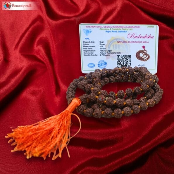 Rudraksha Mala Rudraksha Necklace 5 mukhi - Image 6