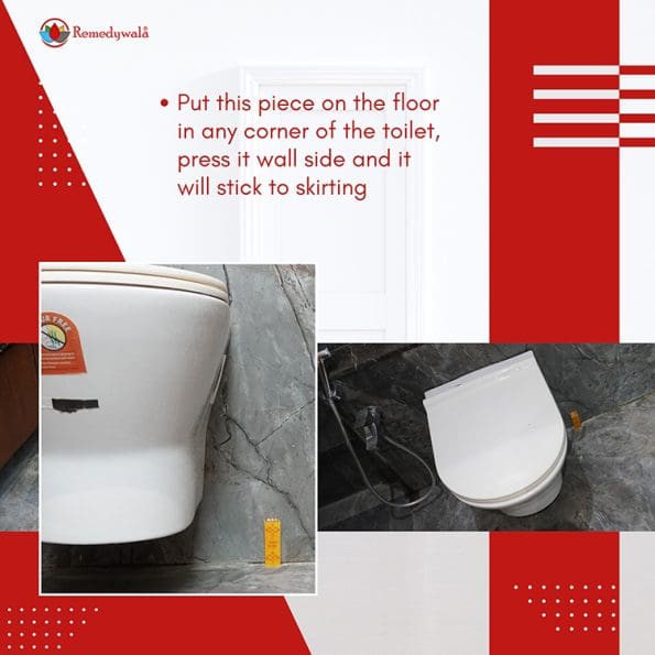 Remedywala Vastu Toilet Pacifier
