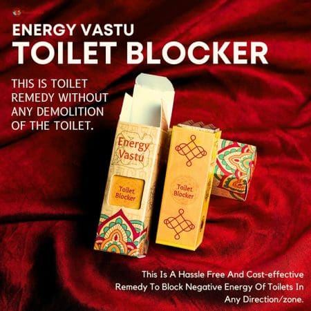 Toilet Blocker