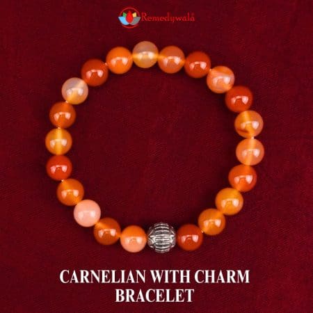 Carnelian with Charm Bracelet 8mm
