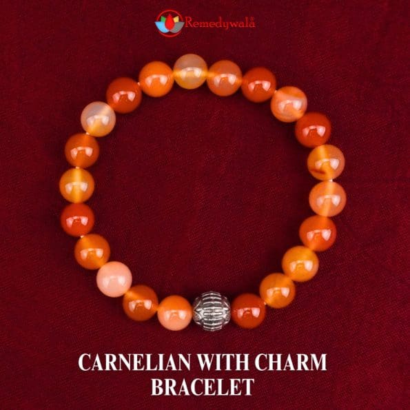 Carnelian with Charm Bracelet 8mm