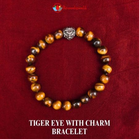 Tiger Eye with Charm Bracelet 8mm