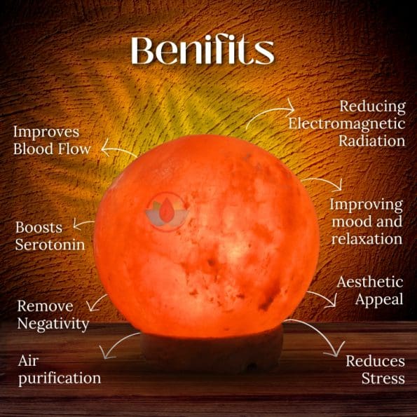 Earth Shape Natural Himalayan Rock Salt Crystal Lamp