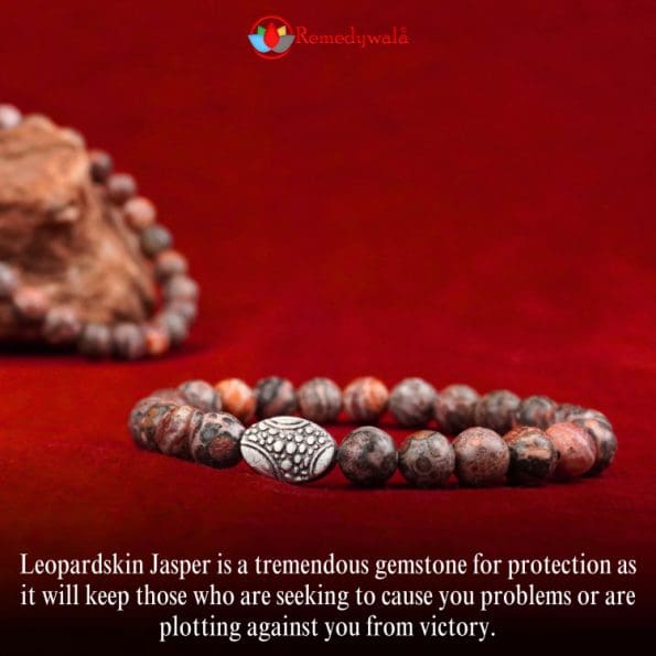 Leopardskin Jasper Bracelet 8mm