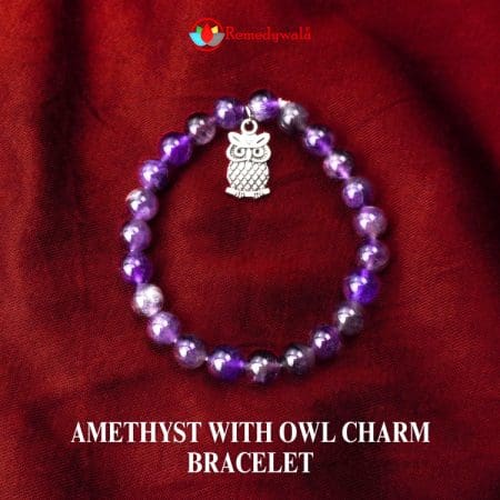 Amethyst with Owl Charm Bracelet 8mm