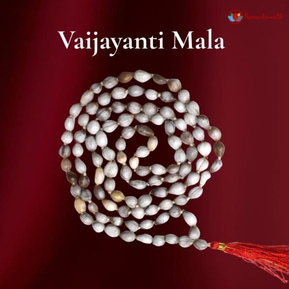 Vaijayanti Mala - Remedywala - Image 2