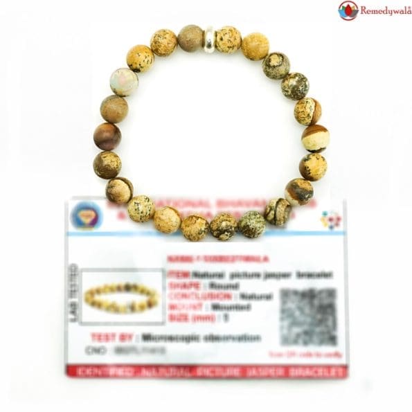 Picture Jasper Bracelet 8mm
