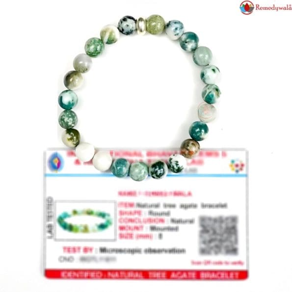 Tree Agate Bracelet 8mm