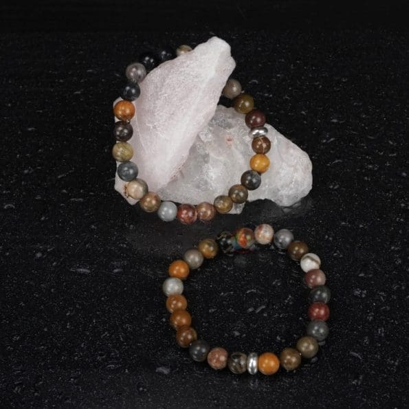 Petrified Wood Bracelet 8mm, Petrified Wood Bracelet with Ring Charm