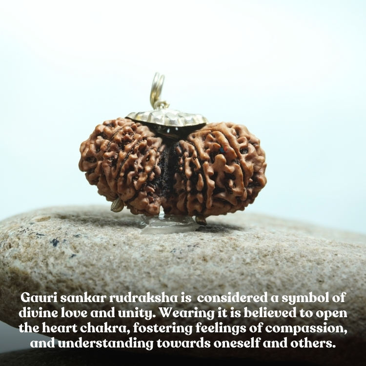 Gauri Shankar Rudraksha