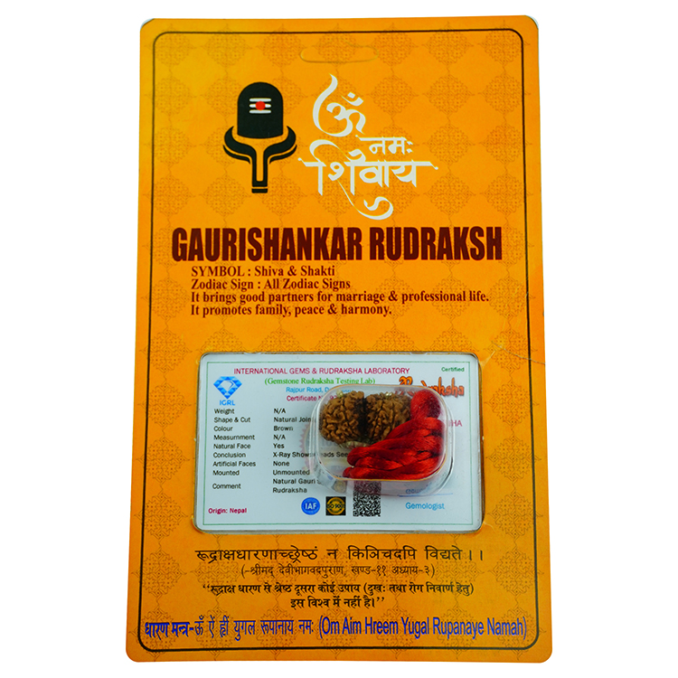 Gauri Shankar Rudraksha