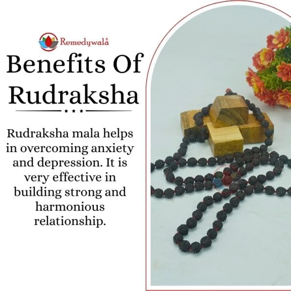 Natural 5 Face Black Beads Rudraksha Mala