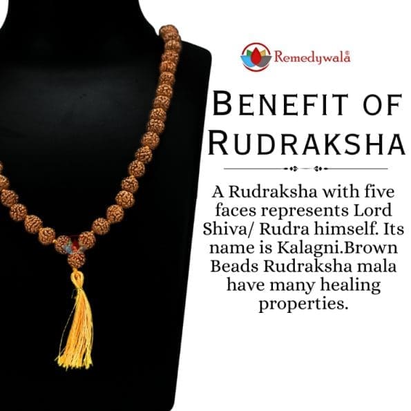 Natural 5 Face Brown Beads Rudraksha Mala - Image 4