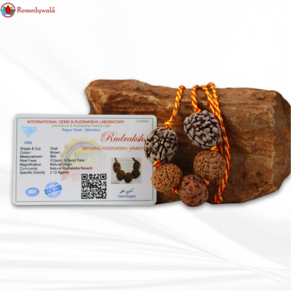 Health Kavach - Image 2
