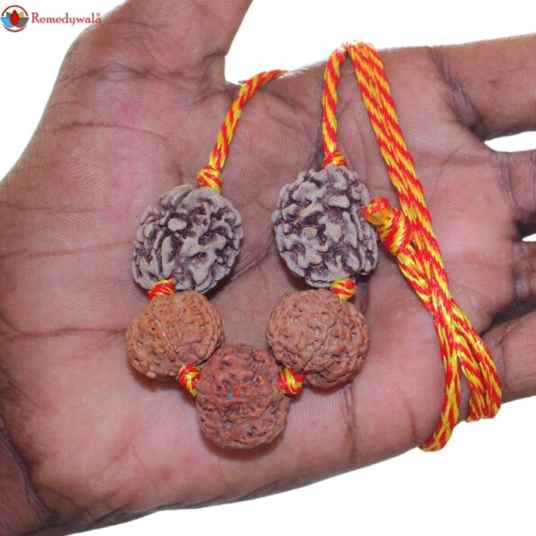 Health Kavach - Image 3