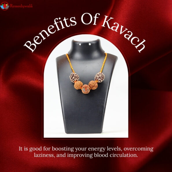 Health Kavach - Image 4