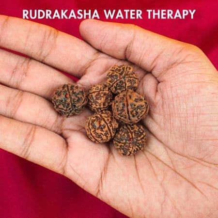 Rudraksha Water Therapy | 5 Mukhi Rudraksha Therapy