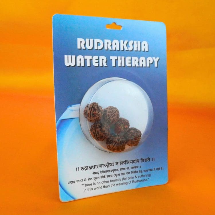 Rudraksha Water Therapy | 5 Mukhi Rudraksha Therapy