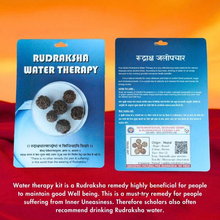 Rudraksha Water Therapy | 5 Mukhi Rudraksha Therapy
