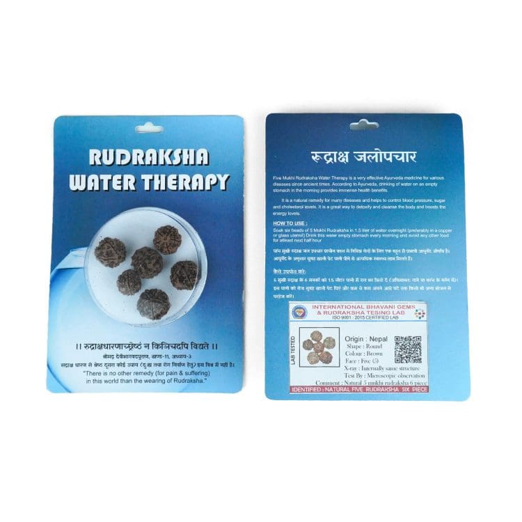 Rudraksha Water Therapy | 5 Mukhi Rudraksha Therapy