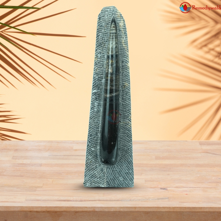 Orthoceras Tower and Plate - Image 5