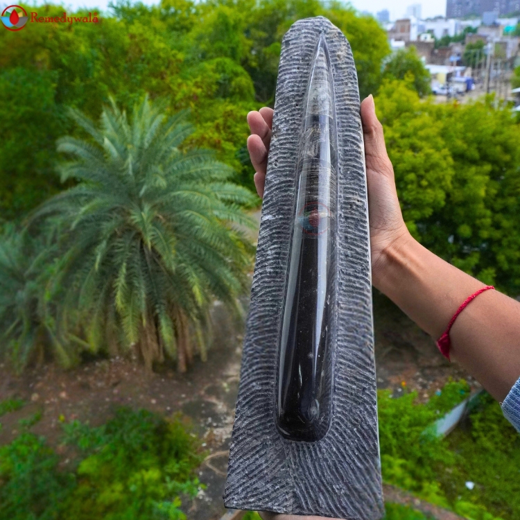 Orthoceras Tower and Plate - Image 4