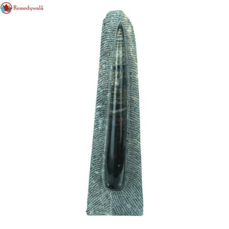 Orthoceras Tower and Plate
