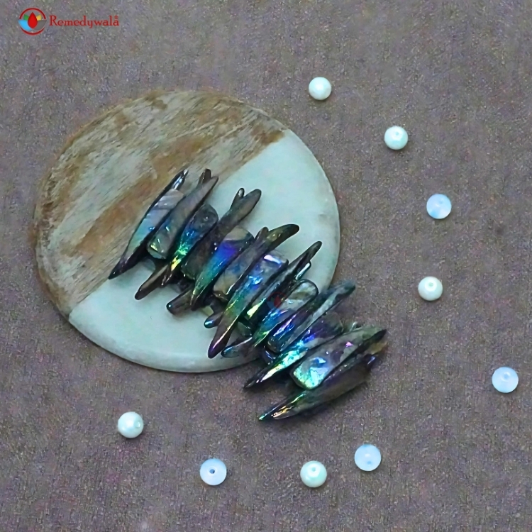 Natural Rainbow Shell Stretch Bracelet - Image 5