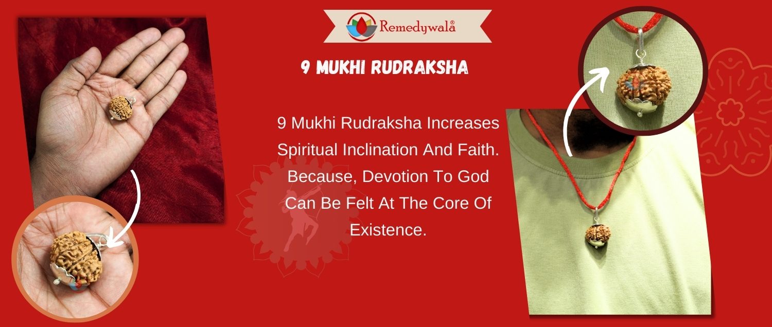 9 Mukhi Rudraksha / Nine Face Rudraksha 9 Mukhi Rudraksha / Nine Face Rudraksha