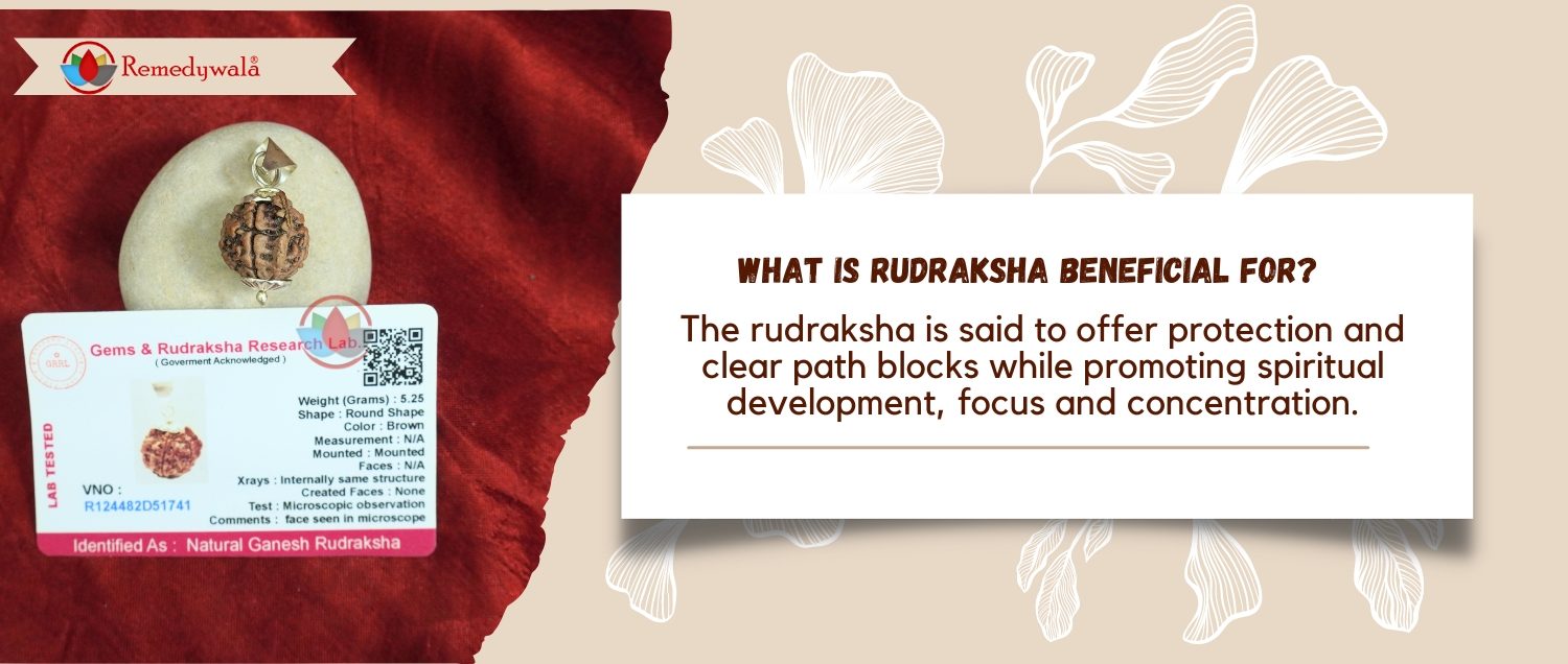 Natural Ganesh Rudraksha Natural Ganesh Rudraksha