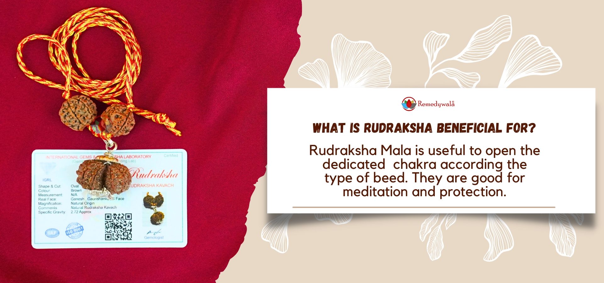 Ganesh Rudraksh zz