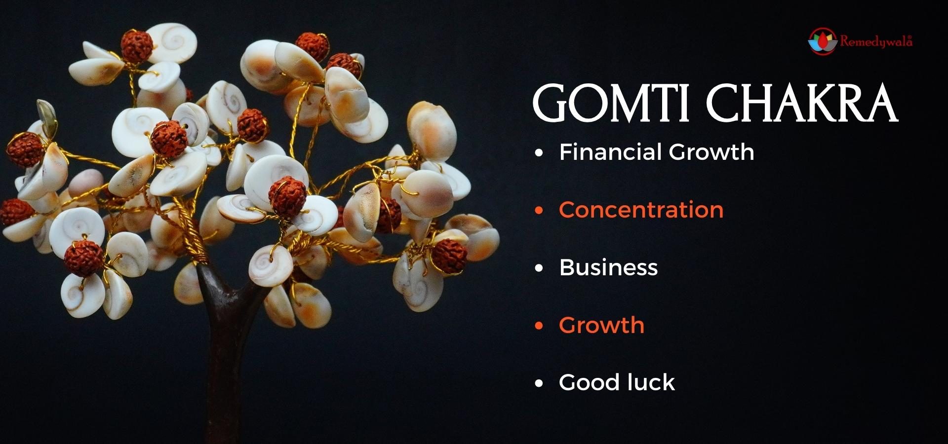 Gomti Chakra Tree 100 Beads