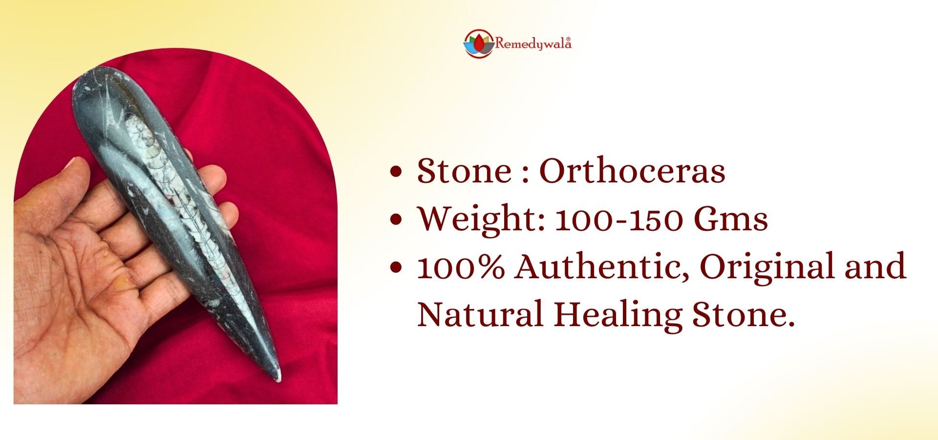 Natural Orthoceras (2)