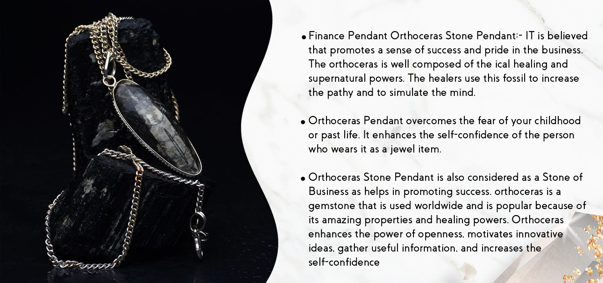 Orthoceras Pendant (Finance) Orthoceras Pendant (Finance)