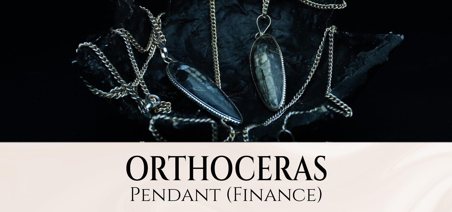 Orthoceras Pendant (Finance) Orthoceras Pendant (Finance)