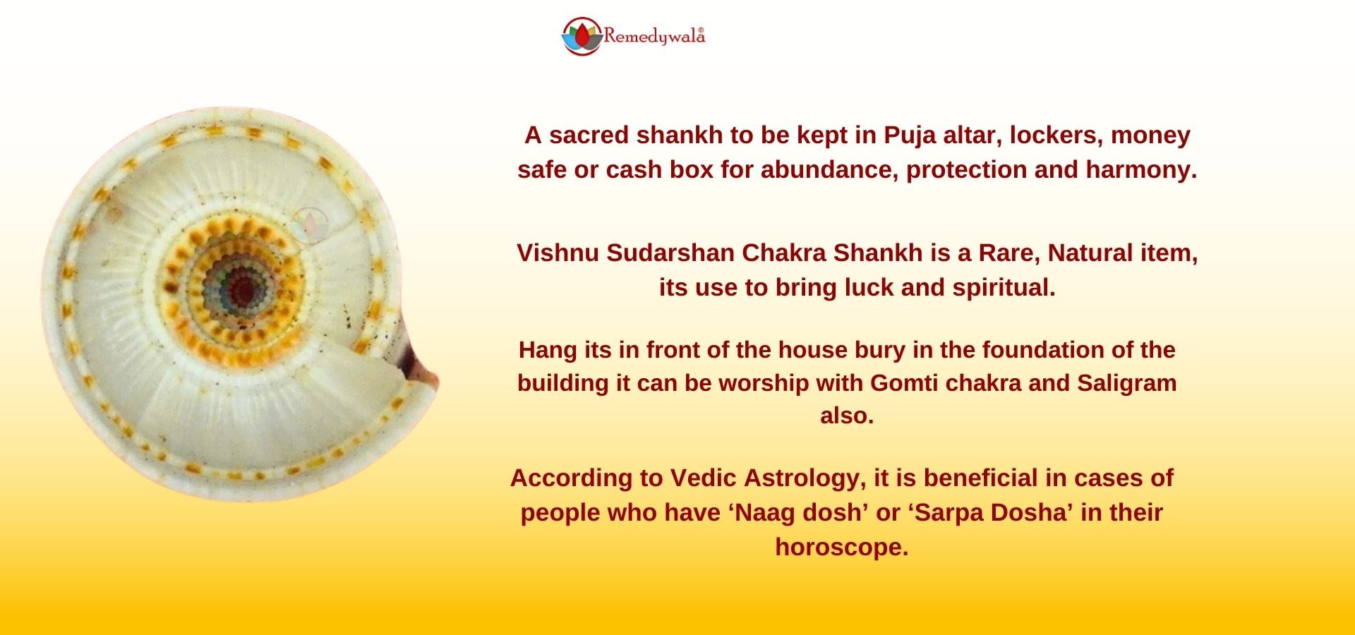 Sri Vishnu Sudarshana Chakra Shankh (3) Sri Vishnu Sudarshana Chakra Shankh (3)