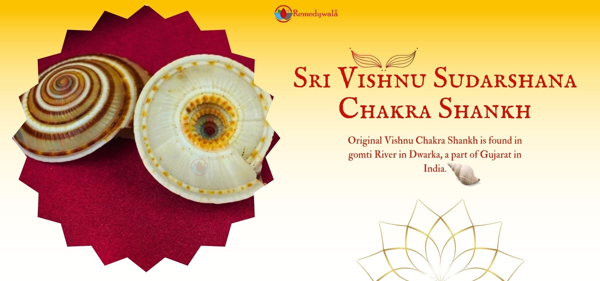 Sri Vishnu Sudarshana Chakra Shankh (4) Sri Vishnu Sudarshana Chakra Shankh (4)