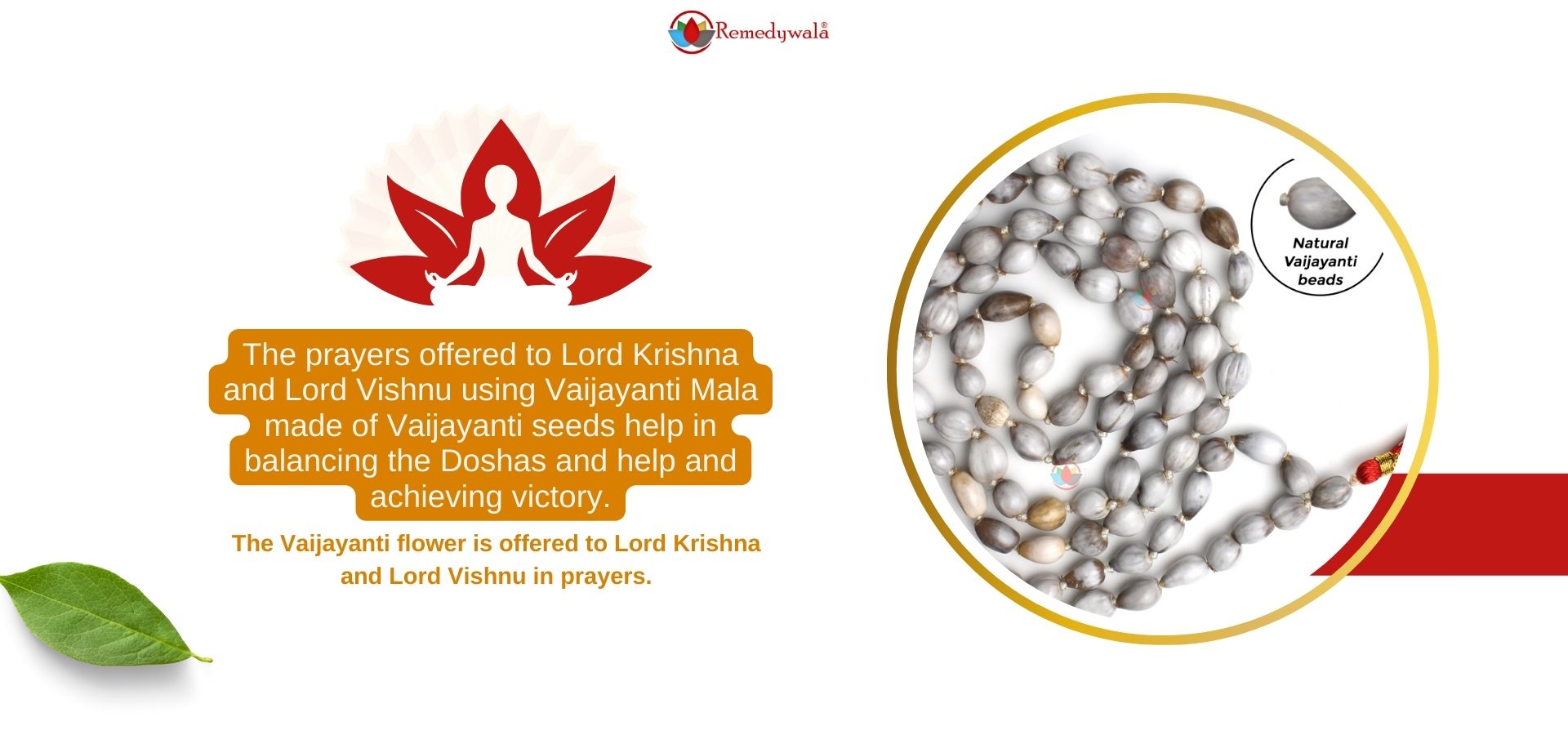 Vaijayanti Mala (2) Vaijayanti Mala (2)