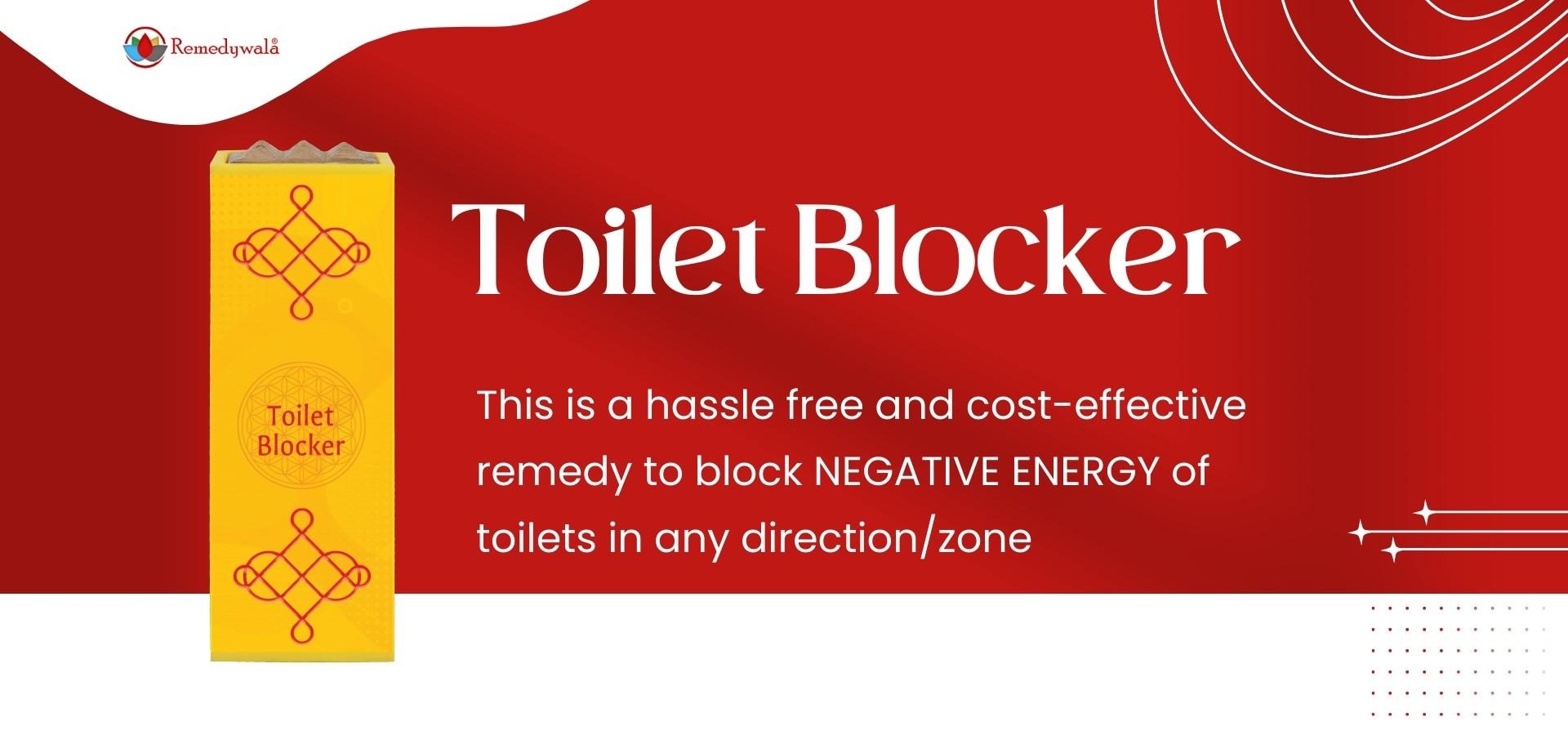 Vastu Toilet Pacifier (2) Vastu Toilet Pacifier (2)