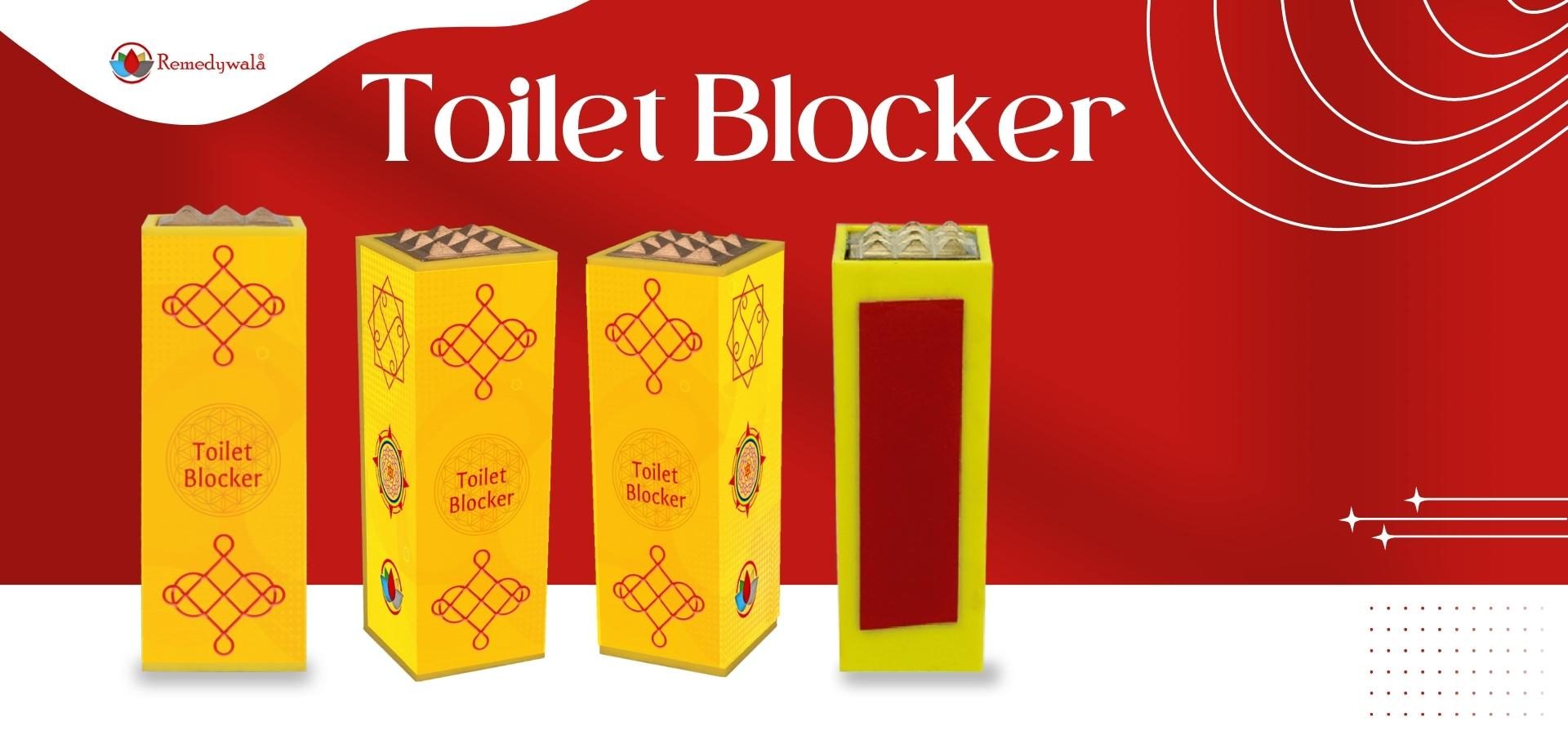 Vastu Toilet Pacifier Vastu Toilet Pacifier