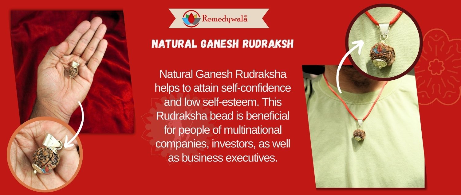 Natural Ganesh Rudraksha Natural Ganesh Rudraksha