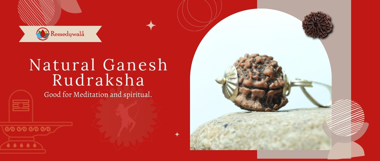 Natural Ganesh Rudraksha Natural Ganesh Rudraksha
