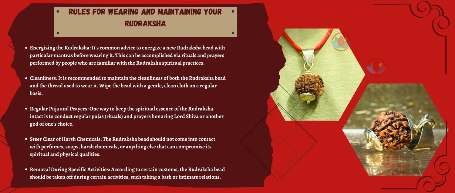 Natural Ganesh Rudraksha Natural Ganesh Rudraksha