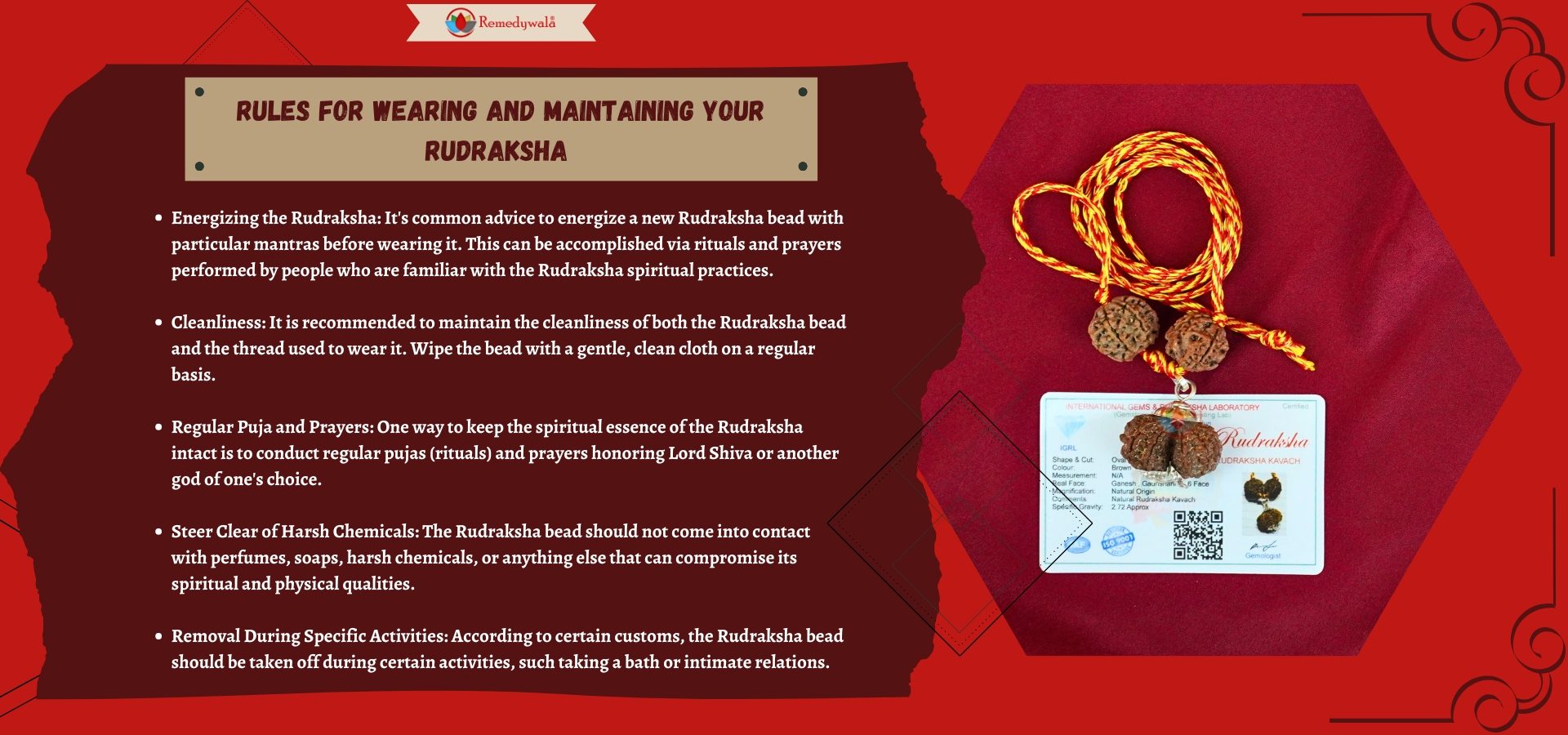 ganesh rudraksh dd